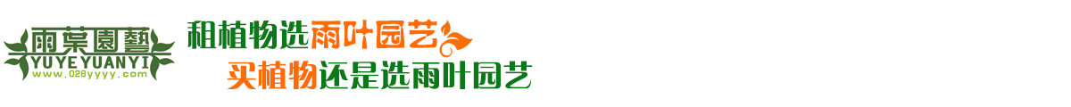 【成都租花】郫都区|郫县植物租赁|郫县植物租摆|郫县租花|郫县盆栽出租|-成都雨叶园林景观设计有限公司